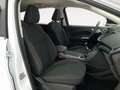 Ford Kuga 1.5 EcoB. Auto S&S Trend+ 4x2 150 Blanc - thumbnail 8