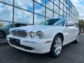 Jaguar XJ8 4.2 Liter Executive Luxus Xenon  Alpina Blanc - thumbnail 15