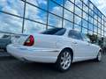 Jaguar XJ8 4.2 Liter Executive Luxus Xenon  Alpina Blanc - thumbnail 16