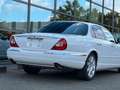 Jaguar XJ8 4.2 Liter Executive Luxus Xenon  Alpina Blanc - thumbnail 3