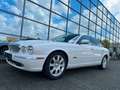 Jaguar XJ8 4.2 Liter Executive Luxus Xenon  Alpina Blanc - thumbnail 8