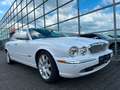 Jaguar XJ8 4.2 Liter Executive Luxus Xenon  Alpina Blanc - thumbnail 11