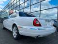 Jaguar XJ8 4.2 Liter Executive Luxus Xenon  Alpina Blanc - thumbnail 10