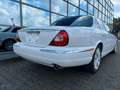 Jaguar XJ8 4.2 Liter Executive Luxus Xenon  Alpina Blanc - thumbnail 9