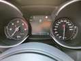 Alfa Romeo Stelvio Stelvio 2.2 Turbodiesel 190 CV AT8 Q4 Business Blau - thumbnail 18