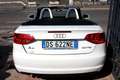 Audi A3 Cabrio 2.0 tdi Ambition 140 cv GARANZIA PELLE TOT - thumbnail 5