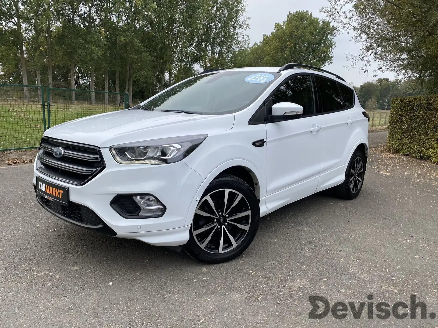 Ford Kuga TDCi FWD ST-Line Blanco - 2