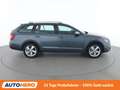 Skoda Octavia 2.0 TDI Scout 4x4 Grau - thumbnail 7