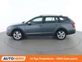 Skoda Octavia 2.0 TDI Scout 4x4 Grau - thumbnail 3