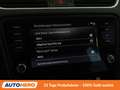 Skoda Octavia 2.0 TDI Scout 4x4 Grau - thumbnail 26