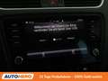 Skoda Octavia 2.0 TDI Scout 4x4 Grau - thumbnail 24