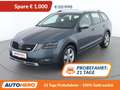 Skoda Octavia 2.0 TDI Scout 4x4 Grau - thumbnail 1
