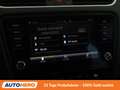 Skoda Octavia 2.0 TDI Scout 4x4 Grau - thumbnail 23