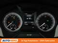 Skoda Octavia 2.0 TDI Scout 4x4 Grau - thumbnail 20