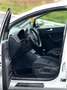 Volkswagen Golf Plus Golf Plus 1.6 TDI DPF Highline - thumbnail 12