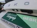Skoda Kamiq 1.0 TSI Drive KLIMA AHK SMARTLINK Einparkhilfe Weiß - thumbnail 5