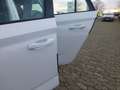 Skoda Kamiq 1.0 TSI Drive KLIMA AHK SMARTLINK Einparkhilfe Weiß - thumbnail 7