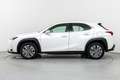 Lexus UX 300e Business City Weiß - thumbnail 8