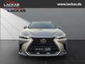Lexus NX 350h 243 PS Executive Interieur Paket + Technologie Pak Silber - thumbnail 8