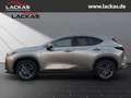 Lexus NX 350h 243 PS Executive Interieur Paket + Technologie Pak Silber - thumbnail 2