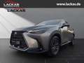 Lexus NX 350h 243 PS Executive Interieur Paket + Technologie Pak Silber - thumbnail 1
