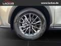 Lexus NX 350h 243 PS Executive Interieur Paket + Technologie Pak Silber - thumbnail 21