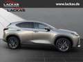 Lexus NX 350h 243 PS Executive Interieur Paket + Technologie Pak Silber - thumbnail 6
