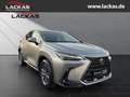 Lexus NX 350h 243 PS Executive Interieur Paket + Technologie Pak Silber - thumbnail 7