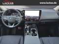 Lexus NX 350h 243 PS Executive Interieur Paket + Technologie Pak Silber - thumbnail 13