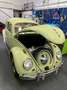 Volkswagen Käfer - thumbnail 2