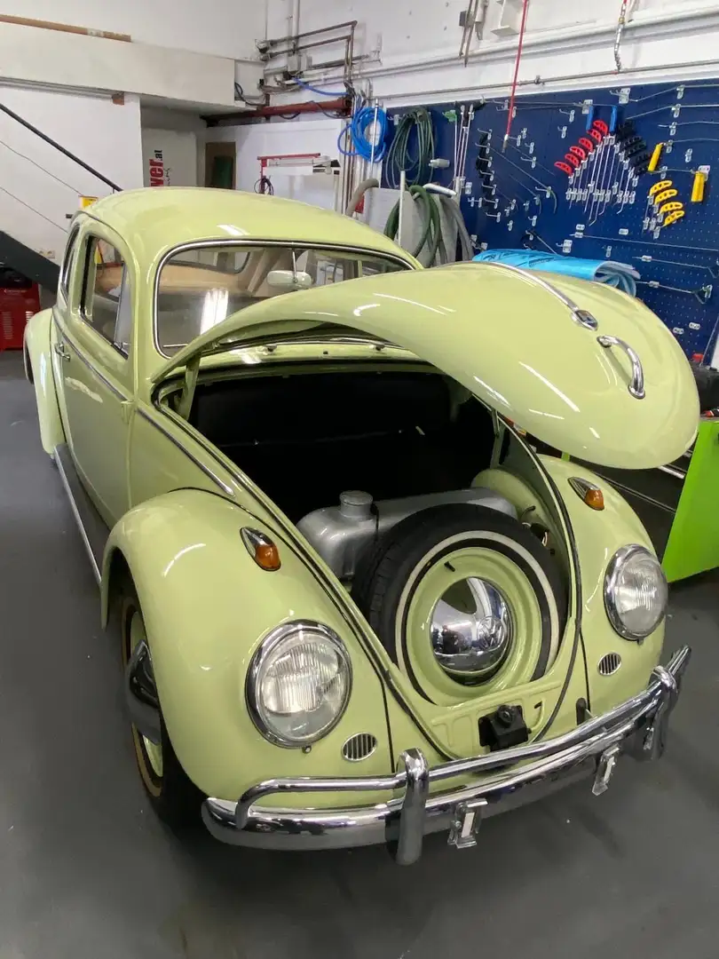 Volkswagen Käfer - 2