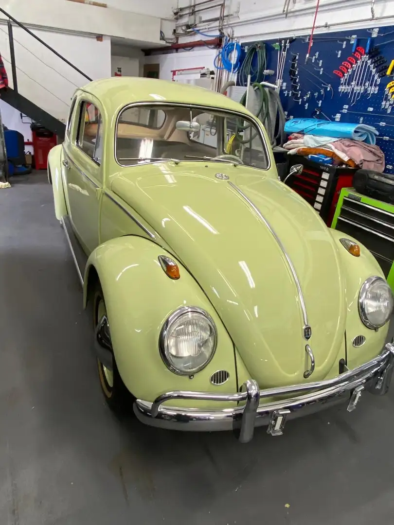 Volkswagen Käfer - 1
