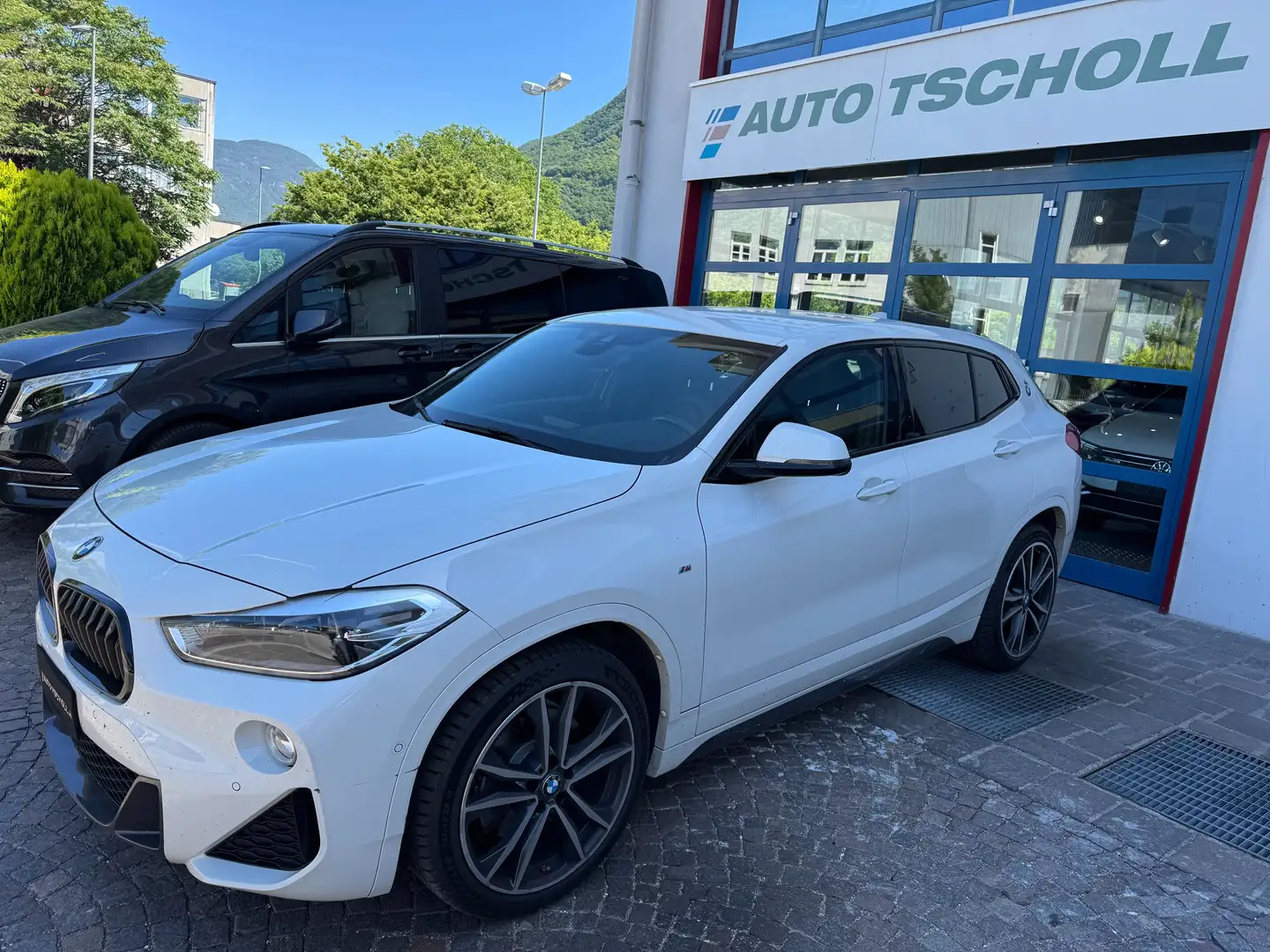 BMW X2 20d 190Cv xDrive M Sport Aut. Head-Up LED Navi 19" Білий - 1