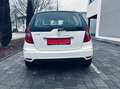 Mercedes-Benz A 170 A 170 (169.032) Weiß - thumbnail 5