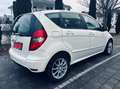 Mercedes-Benz A 170 A 170 (169.032) Weiß - thumbnail 6