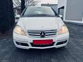 Mercedes-Benz A 170 A 170 (169.032) Weiß - thumbnail 2