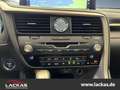 Lexus RX 450h AWD F-SPORT *360 Grad Kamera*Head Up Display* Allr Szürke - thumbnail 11