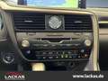 Lexus RX 450h AWD F-SPORT *360 Grad Kamera*Head Up Display* Allr Grau - thumbnail 11