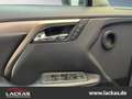 Lexus RX 450h AWD F-SPORT *360 Grad Kamera*Head Up Display* Allr Grey - thumbnail 7