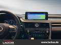 Lexus RX 450h AWD F-SPORT *360 Grad Kamera*Head Up Display* Allr siva - thumbnail 14