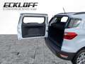 Ford EcoSport 1.0 EcoBoost Titanium CAM*LED*SHZ*SYNC Blanc - thumbnail 16
