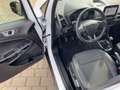 Ford EcoSport 1.0 EcoBoost Titanium CAM*LED*SHZ*SYNC Blanc - thumbnail 7