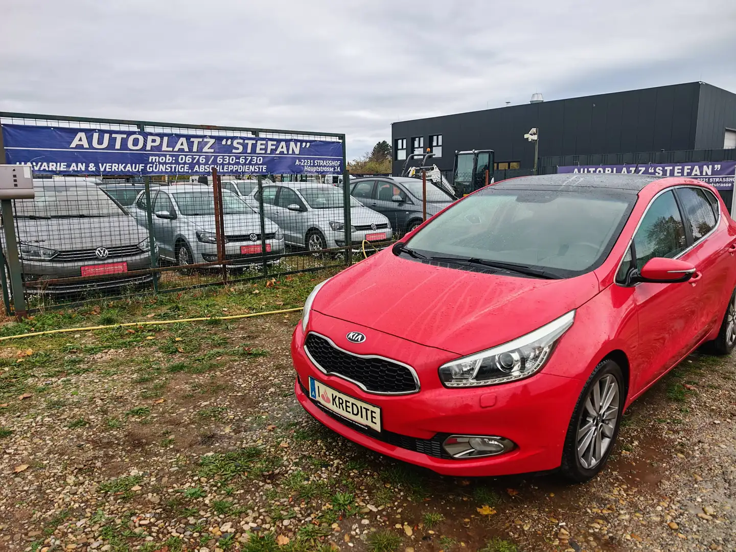 Kia Ceed / cee'd cee'd Diesel cee'd 1,6 CRDi Platin Aut. Rot - 2