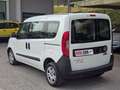 Fiat Doblo 5 posti Bianco - thumbnail 6