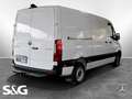 Mercedes-Benz Sprinter 317 CDI Kasten Standard Klima Navi AHK Weiß - thumbnail 3