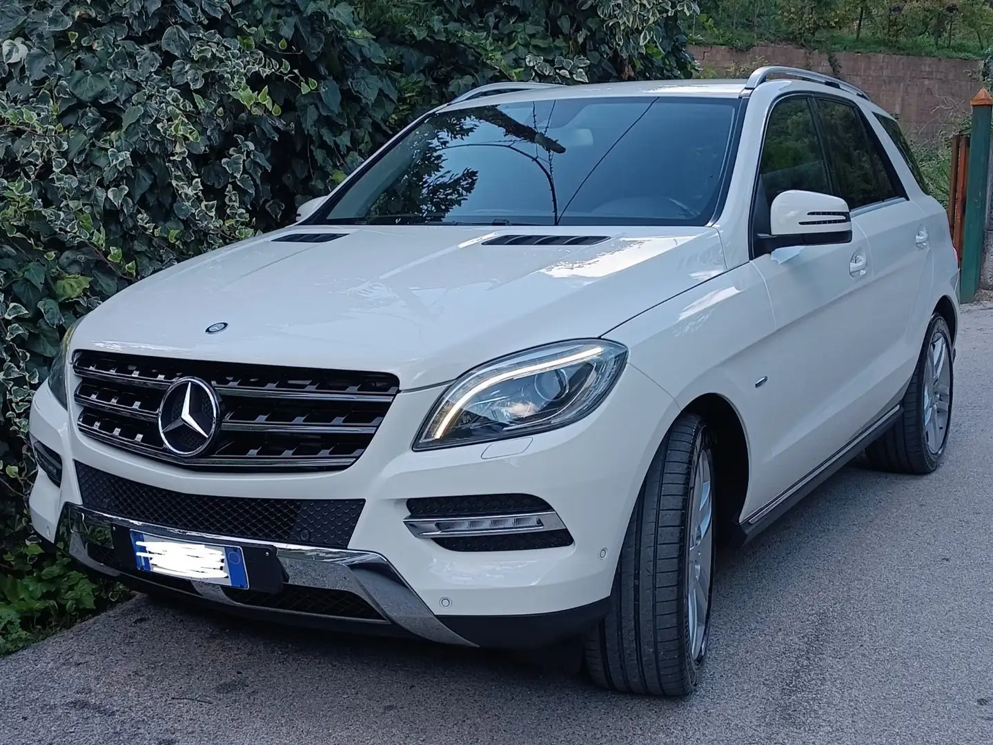 Mercedes-Benz ML 250 bt Sport 4matic auto - 1