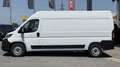 Fiat Ducato Ducato 35+ L3H2 BlueHDi 140 S&S Weiß - thumbnail 2