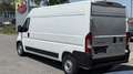 Fiat Ducato Ducato 35+ L3H2 BlueHDi 140 S&S Weiß - thumbnail 3