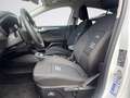 Ford Focus 1.5 EcoBlue 115 CV automatico 5p. Active X Blanc - thumbnail 8