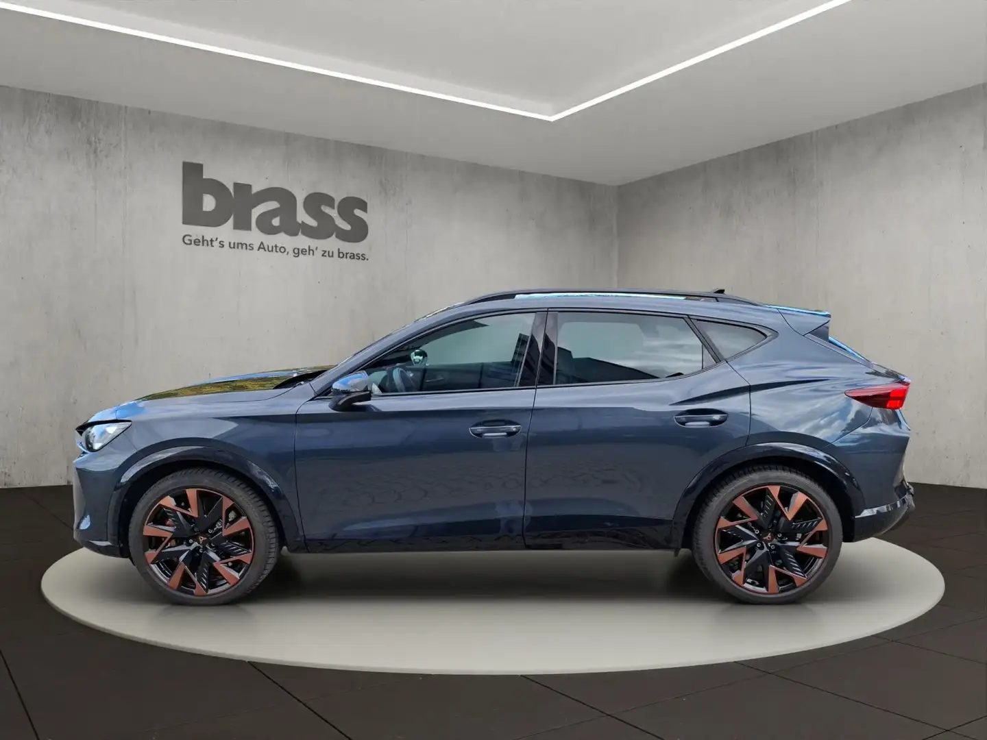 CUPRA Formentor 2.0 TSI VZ Extreme 4Drive 360 Kamera e Grau - 2